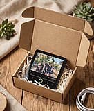 ����� ����� 