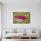 ���� ����� - 120X80