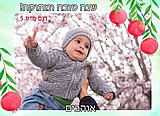 מגנט מעוצב לראש השנה גודל 13X18 דגם 5 מגנט מעוצב לראש השנה גודל 13X18 דגם 5
