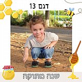 מגנט מעוצב לראש השנה גודל 13X13 דגם 13 מגנט מעוצב לראש השנה גודל 13X13 דגם 13