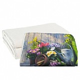 ����� �������� ����