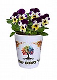 הדפסה על עציץ קרמיקה הדפסה על עציץ קרמיקה